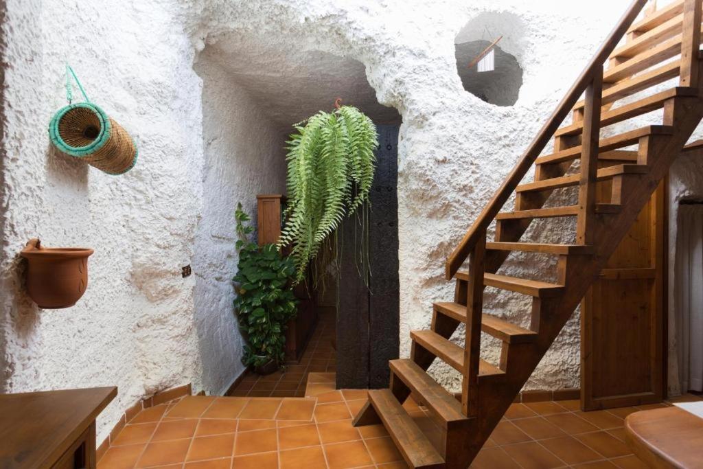 Villa Live Socorro Cave à Güimar Extérieur photo