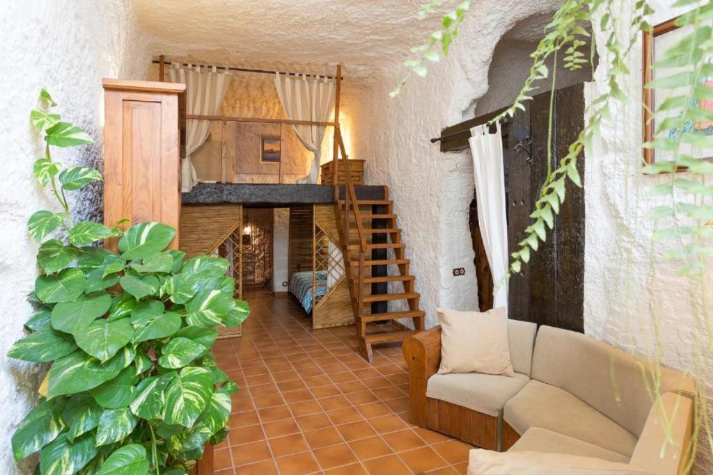 Villa Live Socorro Cave à Güimar Extérieur photo